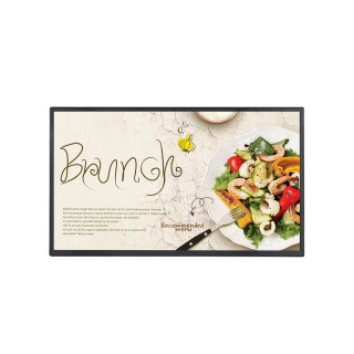 LG ELECTRONICS 32 LED IPS 1920X1080 169 400NIT 11001 10MS